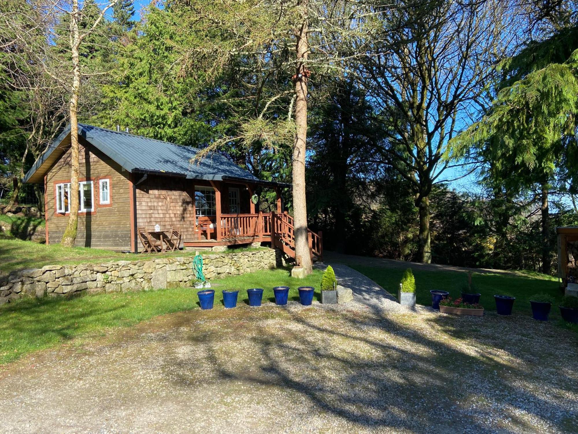 Willow Lodge Dublin Exterior foto